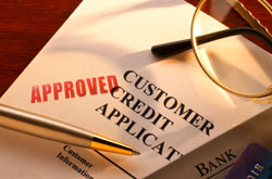 Credit Rating Form - photo