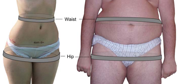 Illustration of waist to hip ratio measurements
