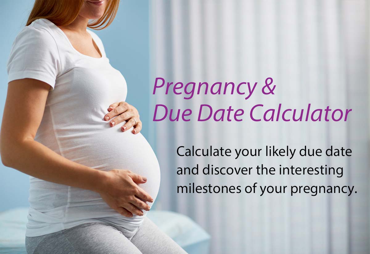 Pregnancy Milestones Chart By Due Date