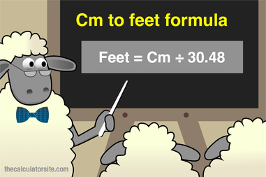 CM to Inches Calculator  Instant Length Conversion
