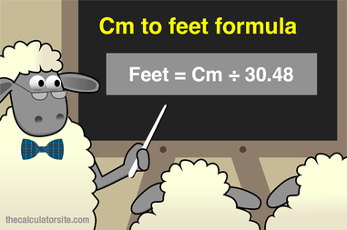 Conversion Chart Cm to Inches 