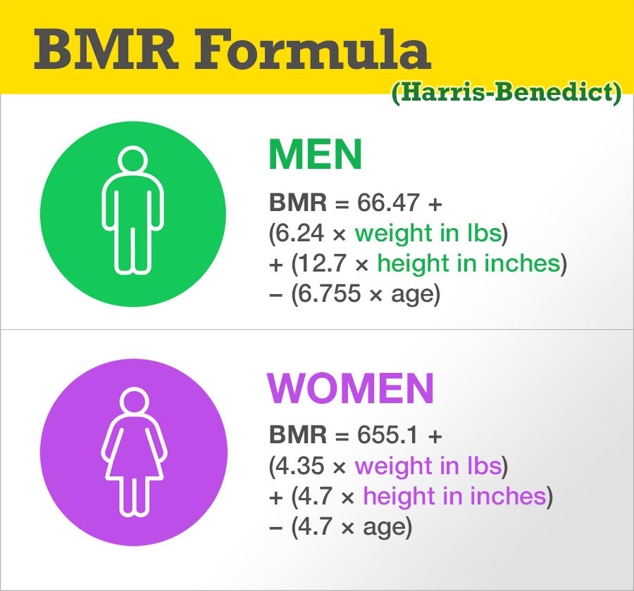 Basal Metabolic Rate Bmr Chart