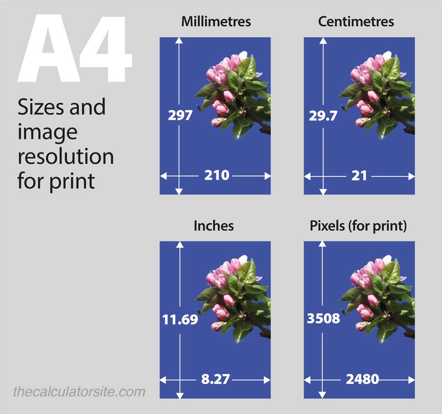 What Are The Width And Height Of Paper